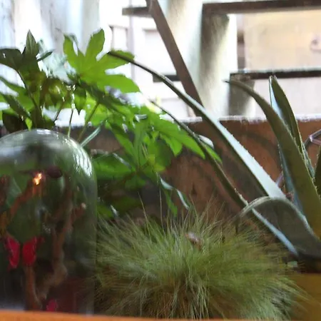 Couette-café Petit Paris